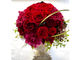 Hanashin z@̎ʐ^4