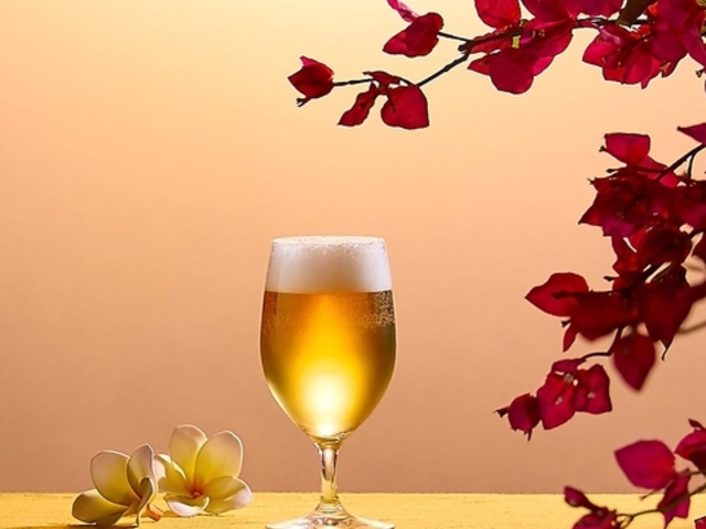 ANA�N���E���v���U �r�A�e���X�̎ʐ^1