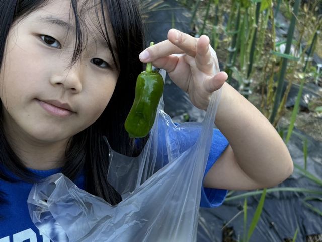 �命����ς����R�_��