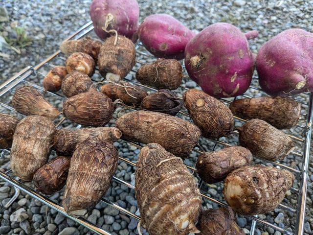 �命����ς����R�_��