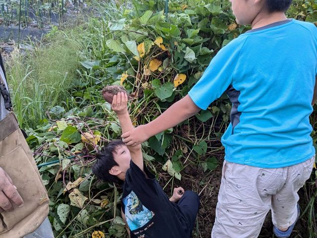 �命����ς����R�_��