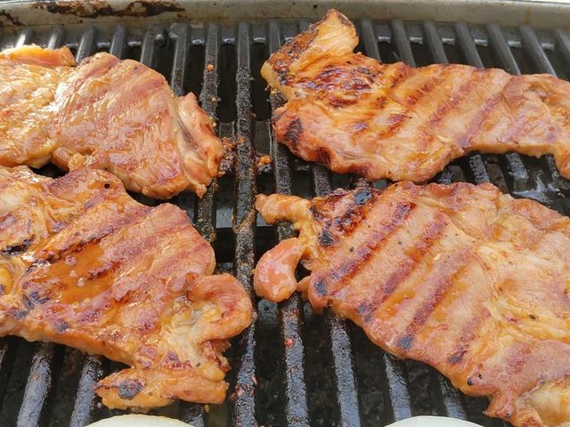 �l�C�̃f�W�J���r_�z�y�̐X