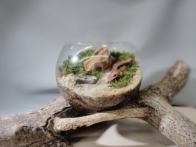 �ۃ��E���H�[������̎ʐ^1