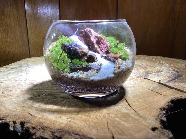 �ۃ��E���H�[������