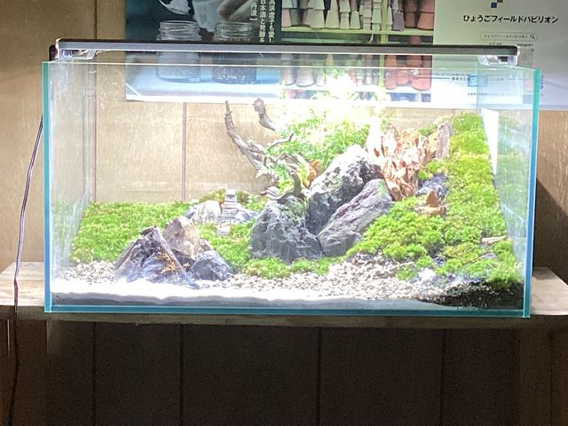 �ۃ��E���H�[������