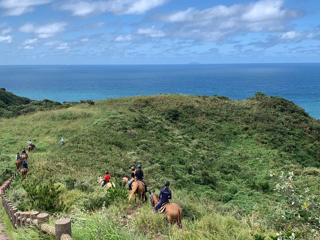 �J�i�f�B�A���L�����v�哇�q��