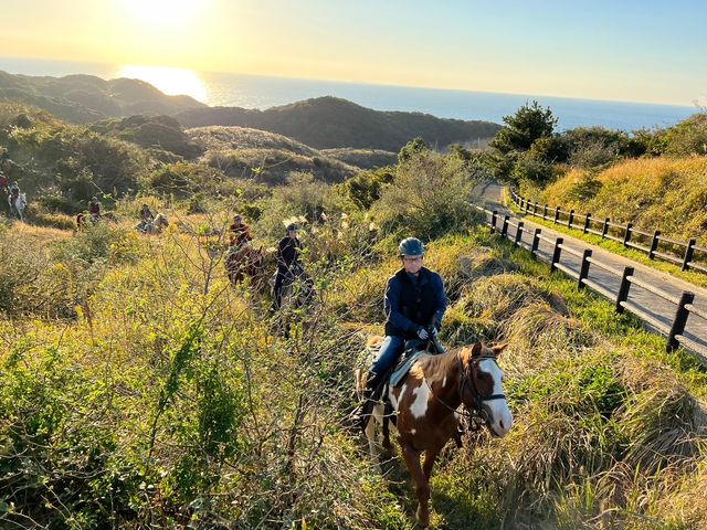 �J�i�f�B�A���L�����v�哇�q��