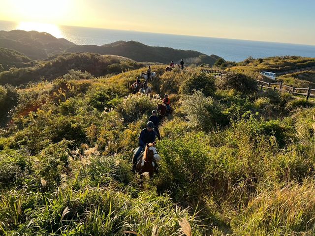 �J�i�f�B�A���L�����v�哇�q��