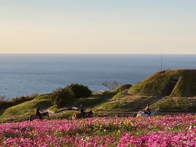 �J�i�f�B�A���L�����v�哇�q��