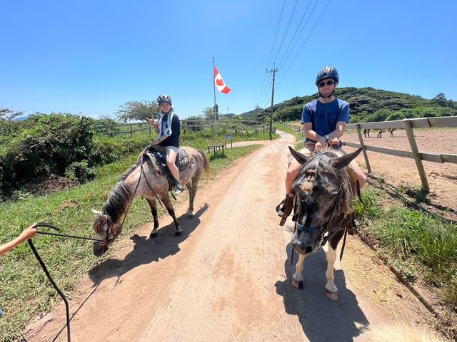 �J�i�f�B�A���L�����v�哇�q��