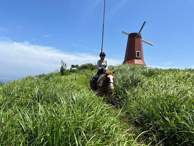 �J�i�f�B�A���L�����v�哇�q��