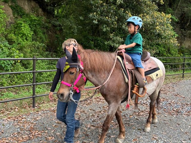 �J�i�f�B�A���L�����v��n�N���u SOO