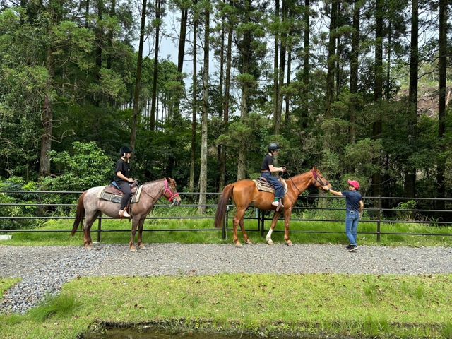 �J�i�f�B�A���L�����v��n�N���u SOO