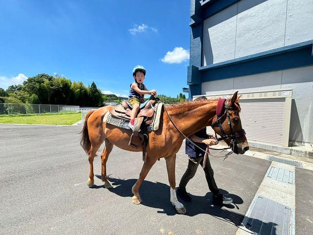 �J�i�f�B�A���L�����v��n�N���u SOO