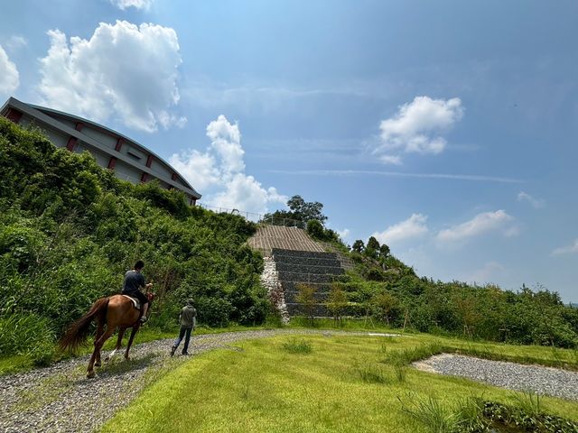 �J�i�f�B�A���L�����v��n�N���u SOO