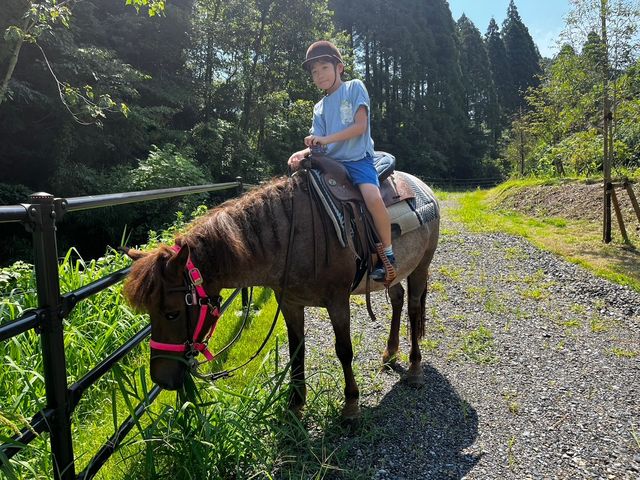 �J�i�f�B�A���L�����v��n�N���u SOO