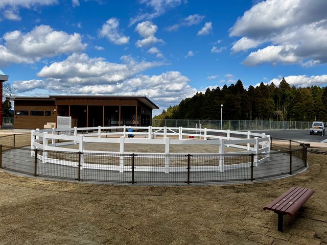 �J�i�f�B�A���L�����v��n�N���u SOO