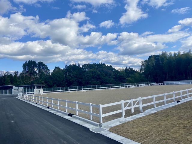 �J�i�f�B�A���L�����v��n�N���u SOO