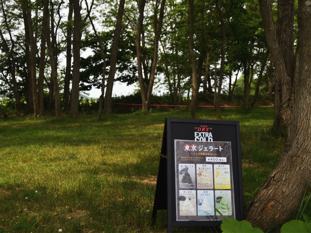 �����̘V�܃W�F���[�g�������ŐH�ׂ�܂�_�D�y�ߍx�L�����v�� �����Ƃ����Տ�