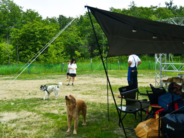 �ݐ؃h�b�N�����T�C�g�t�F���X�O���P�U�Om�̑ݐ؃T�C�g�@�ґ�Ȏ��Ԃ������Ƌ��ɁI�I_�D�y�ߍx�L�����v�� �����Ƃ����Տ�