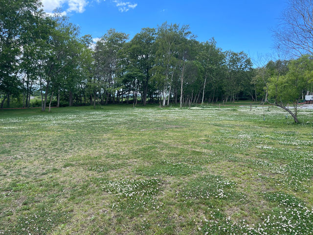 �I�[�g���A��l�ŊJ�������L�����v�ꂾ���炱���̃L�����p�[�t�@�[�X�g_�D�y�ߍx�L�����v�� �����Ƃ����Տ�