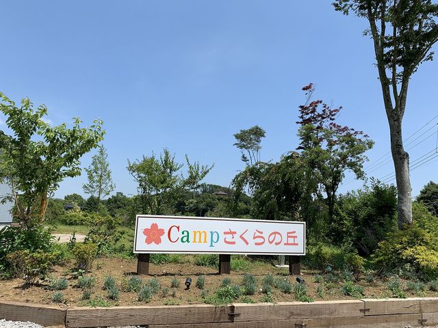 ������ɂ���Ŕ�_CAMP������̋u