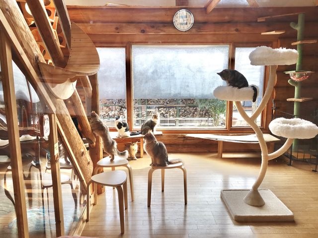 n^LJtF یLz[JtF ˂ڂ̎ʐ^1