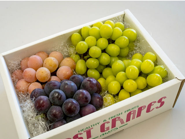 ���z�n�[���j�[�t�@�[��