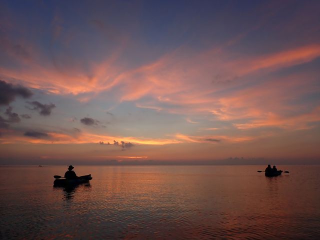 �T���Z�b�g�J���b�N
���F�̋�_��������Pocket