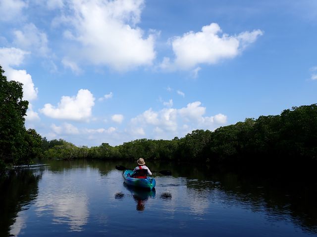 �}���O���[�u�J���b�N_��������Pocket