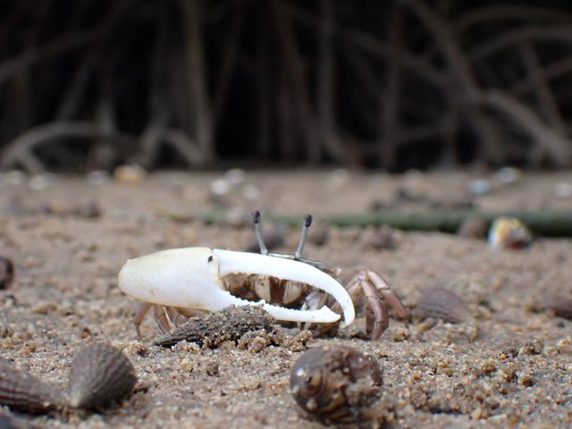 �����̐�����_��������Pocket