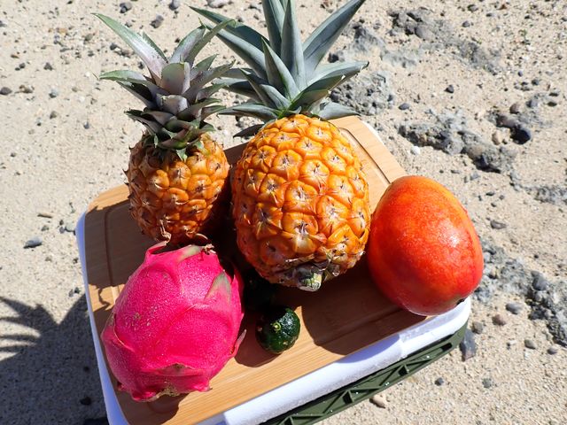 �썑�t���[�c_��������Pocket