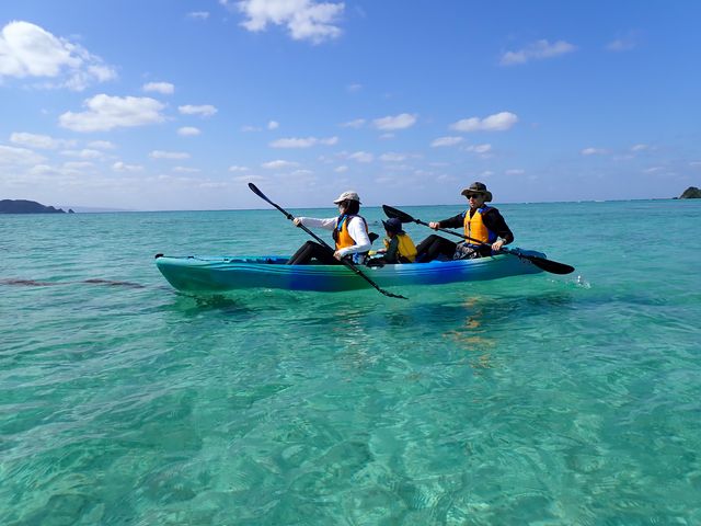 �����x���Q�̂����C_��������Pocket