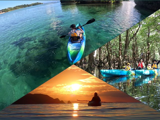 ��������Pocket�̎ʐ^1