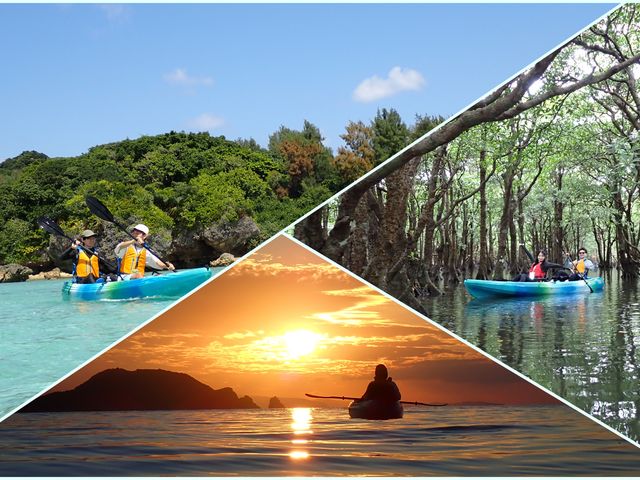 ��������Pocket�̎ʐ^1