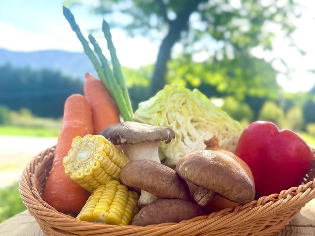 �y��ؐ���z�F�{�̔���������؂�BBQ��_�숢�h�u���[�r�[�K�[�f��