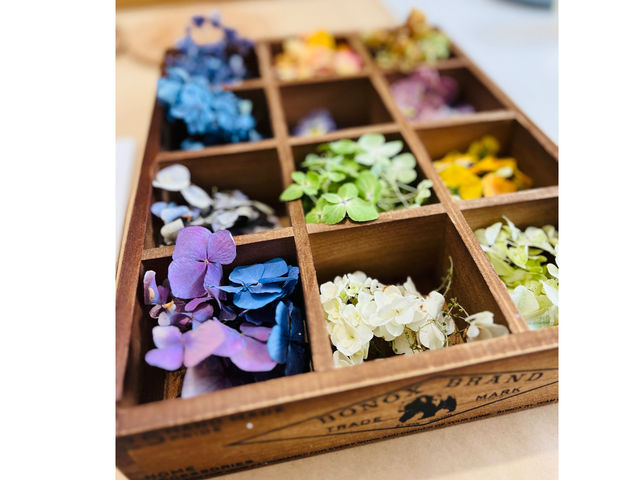 �h���C�t�����[_Arbre Candle