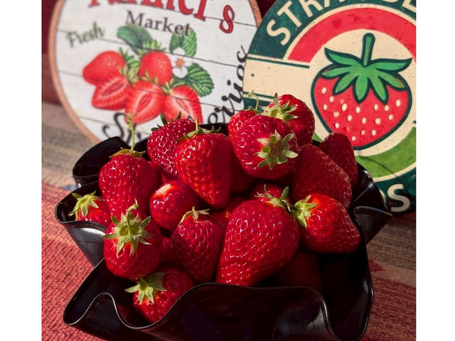 The Little Bee̎ʐ^1