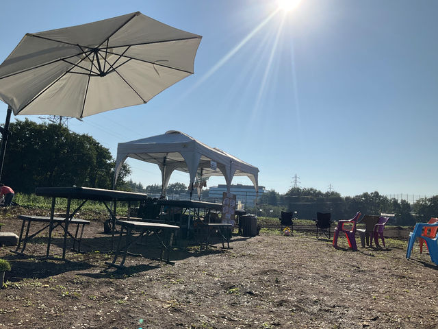 �Ƃ��݂�_��