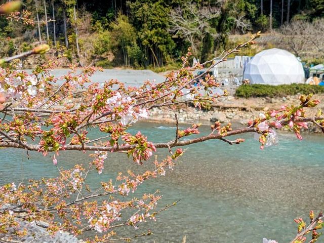 ��������I�[�g�L�����v��