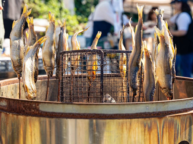 ��������I�[�g�L�����v��