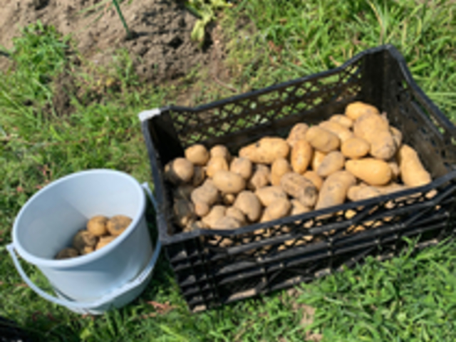 ���������ӂ��[�� �K�c