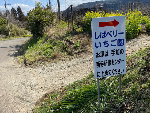 ���΃x���[��������