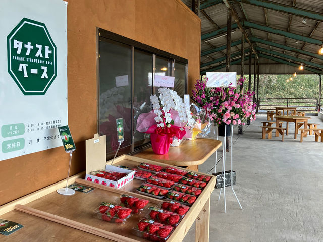 �^�i�X�g�x�[�X