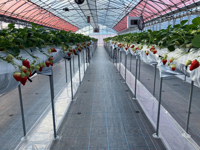 �^�i�X�g�x�[�X