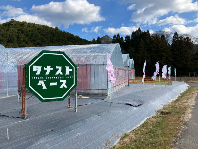 �^�i�X�g�x�[�X