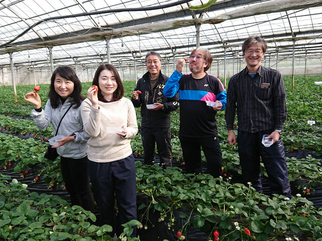 �q�삢������