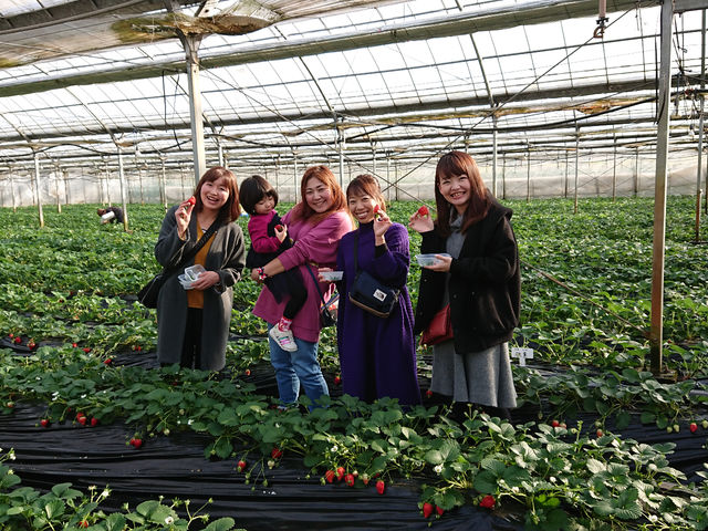 �q�삢������