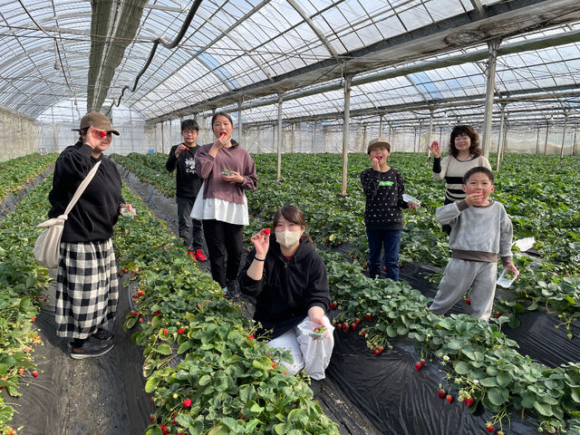 ���т���_�q�삢������