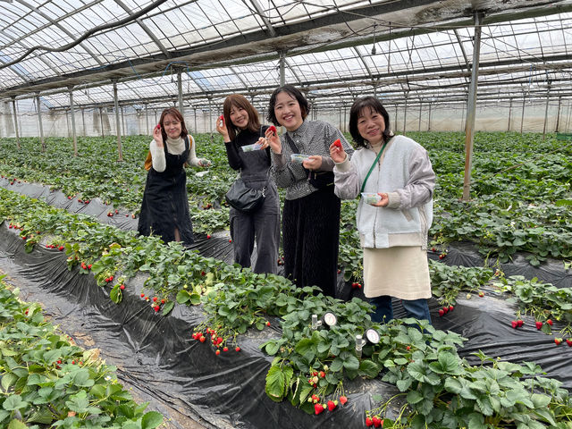 �q�삳��_�q�삢������